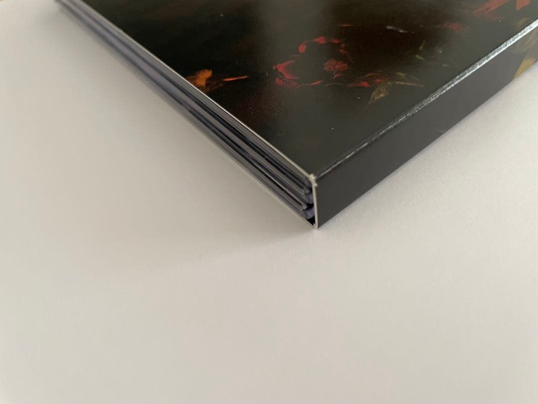 ロング・グッドバイ DVD BOX 浅野忠信 綾野剛