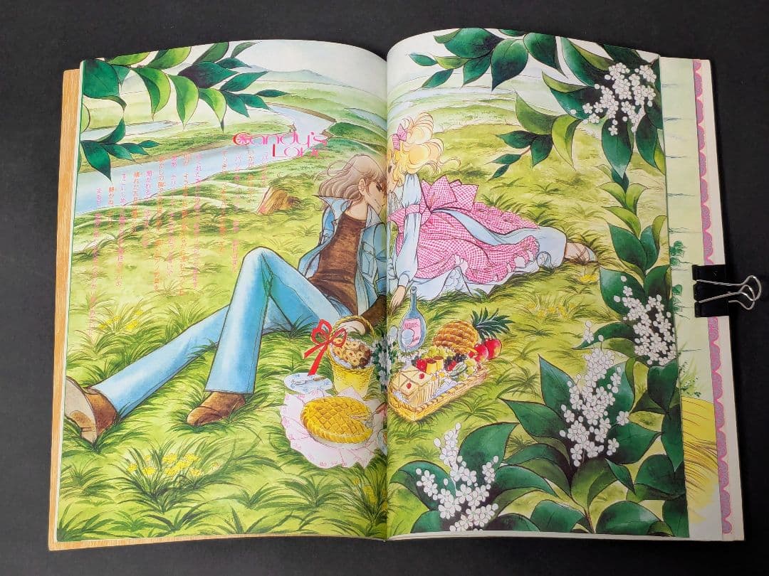 なかよしデラックスアルバム /キャンディキャンディ イラスト集 PART2