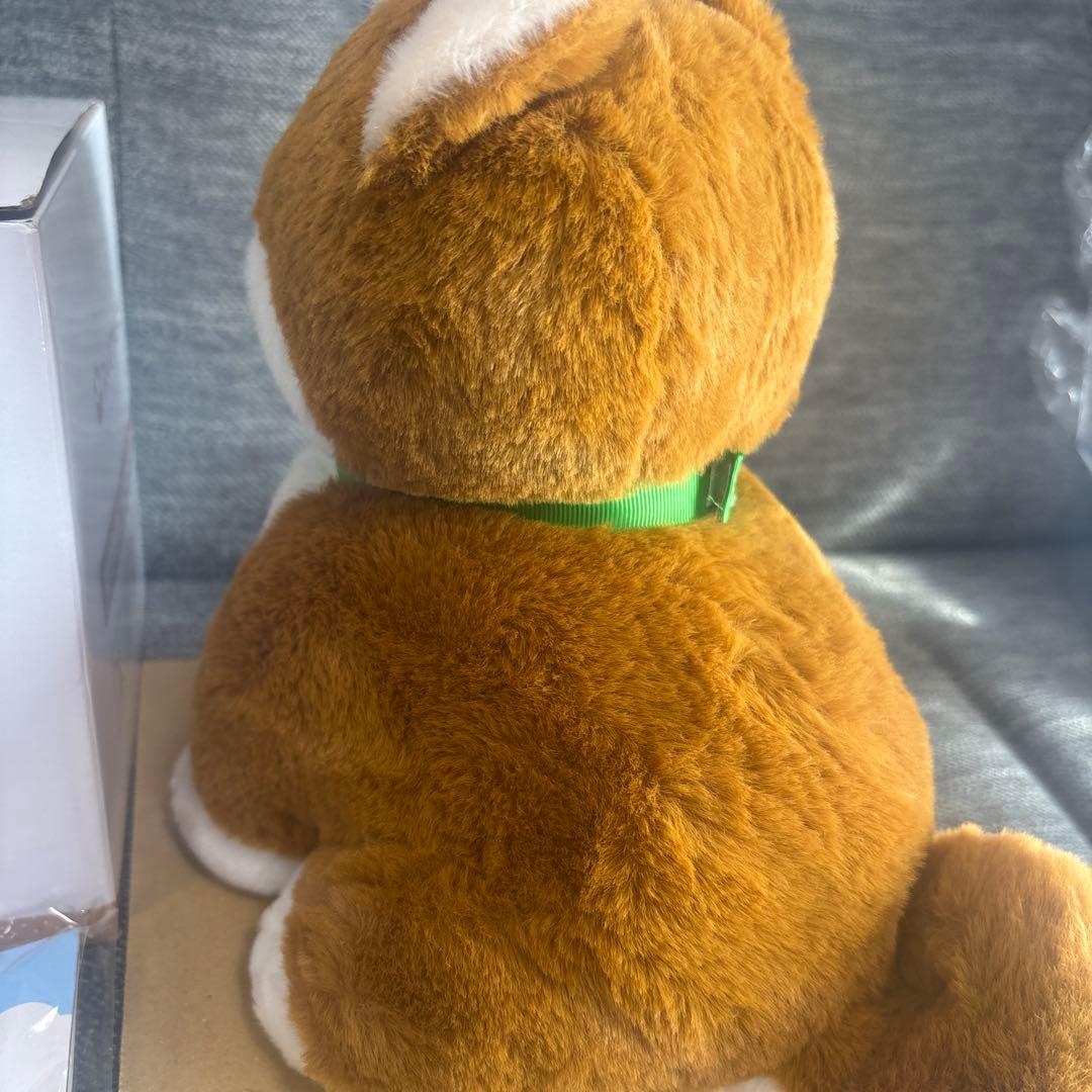 しばいぬコウタ　バンダナ無し