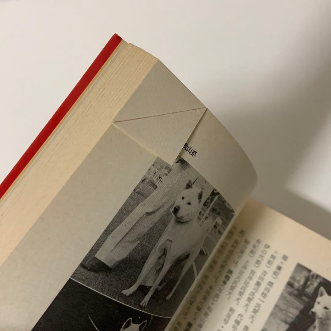 年鑑　紀州犬　四国犬　誠文堂　新光社　愛犬の友編集部編