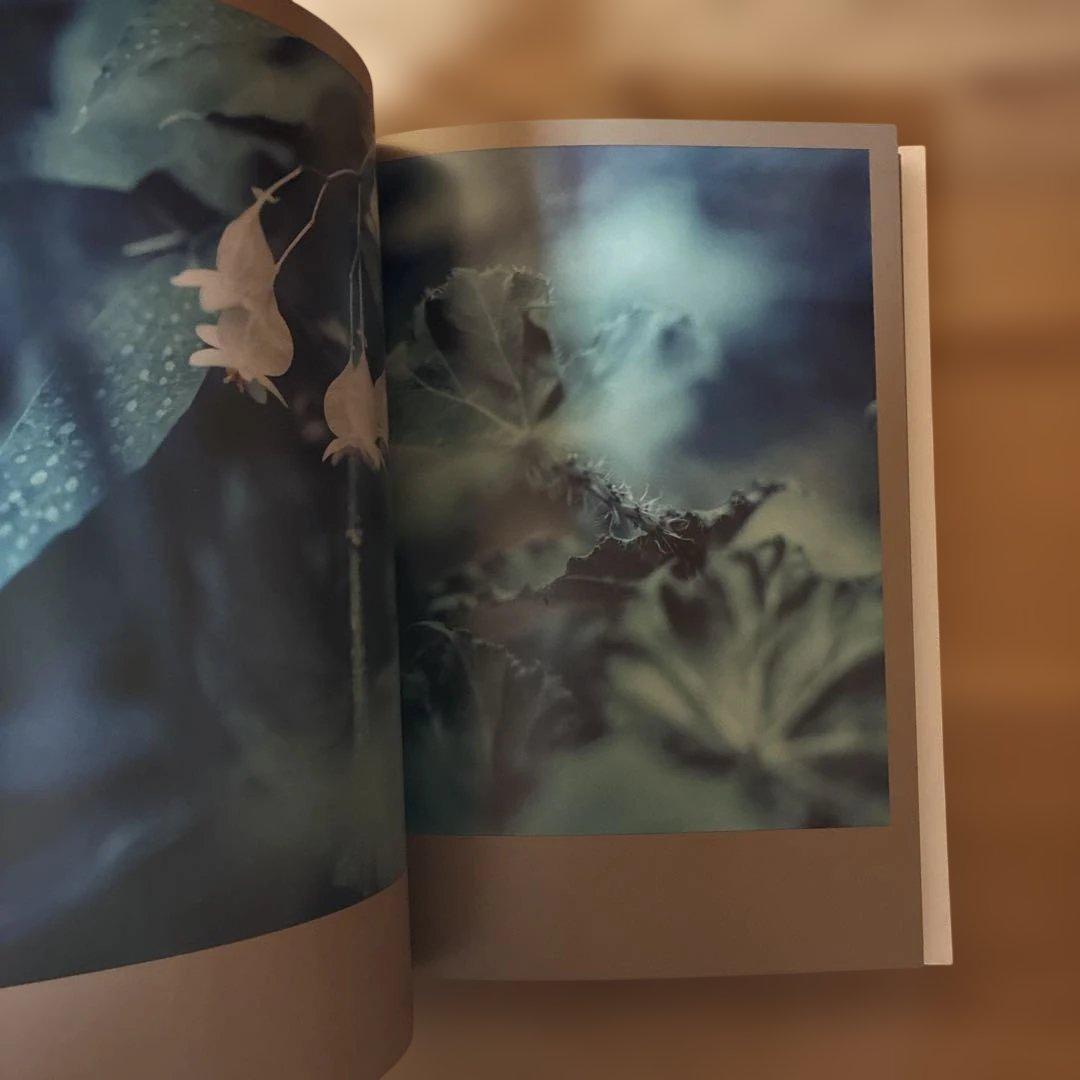 Darren Almond 写真集The Civil Dawns