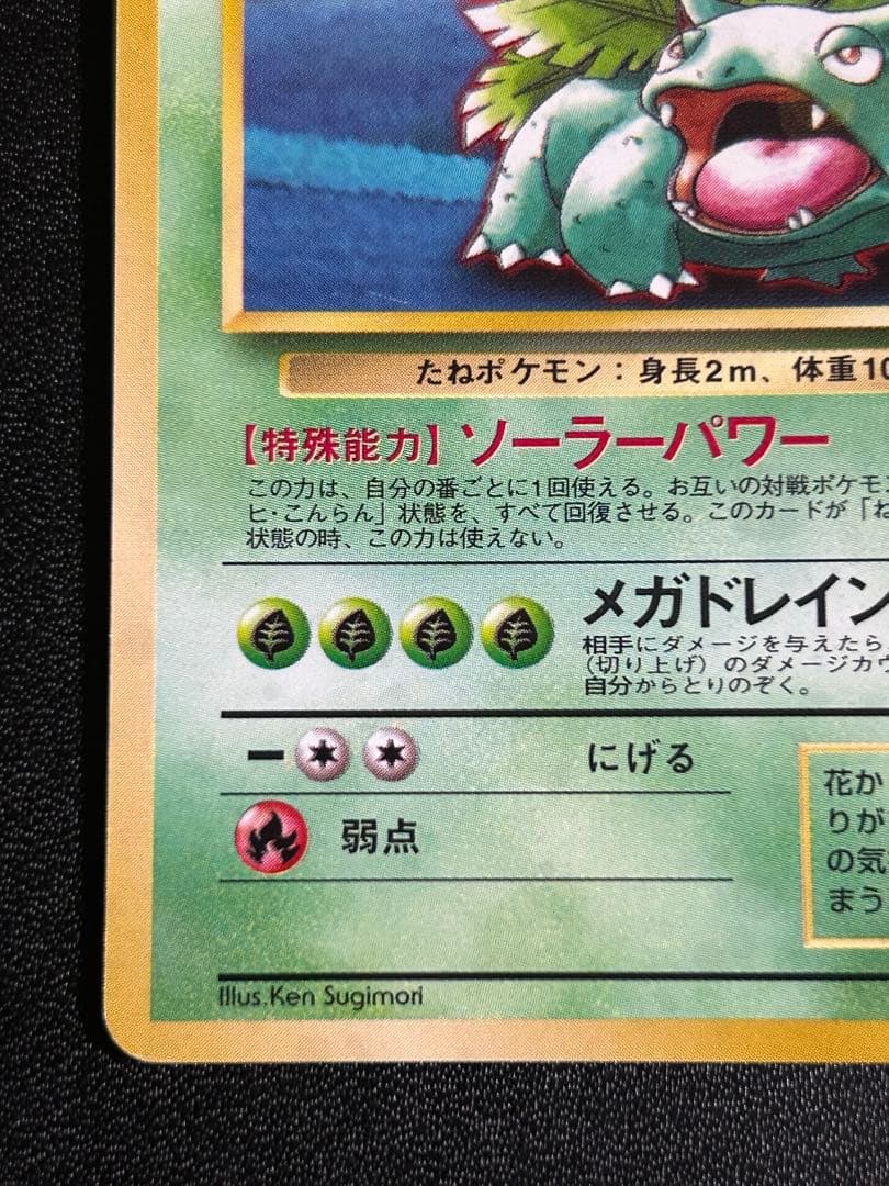 【美品】【旧裏】ポケモン御三家セット