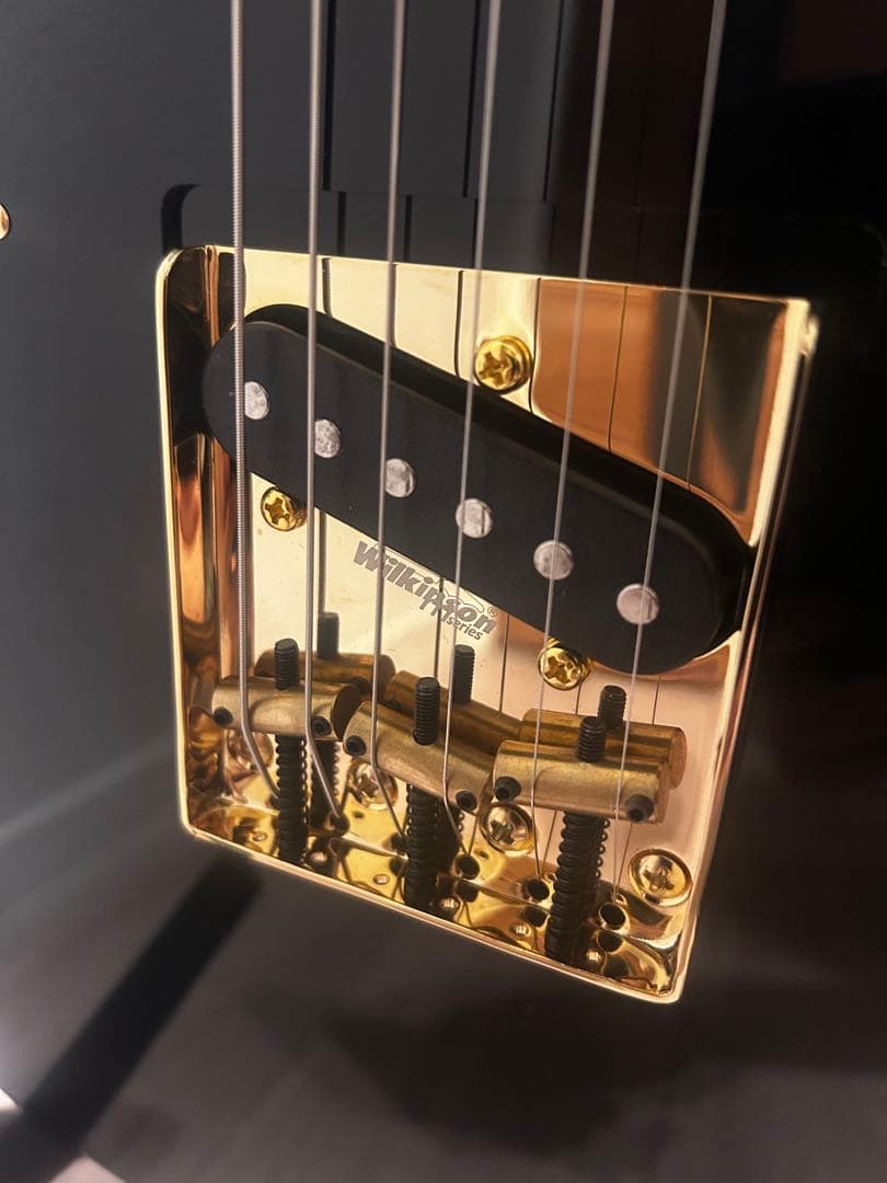 Bacchus BTE-1DX RSM MOD テレキャスター suhr