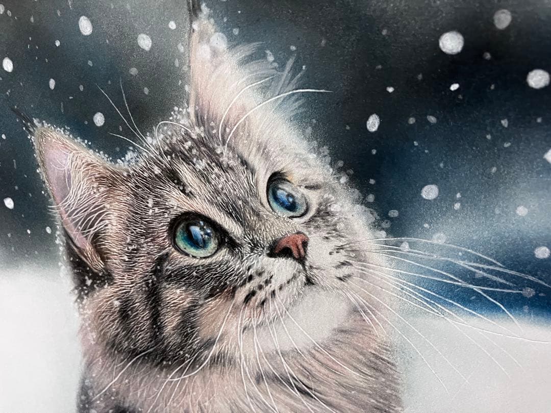 満天の雪 色鉛筆画 パステル