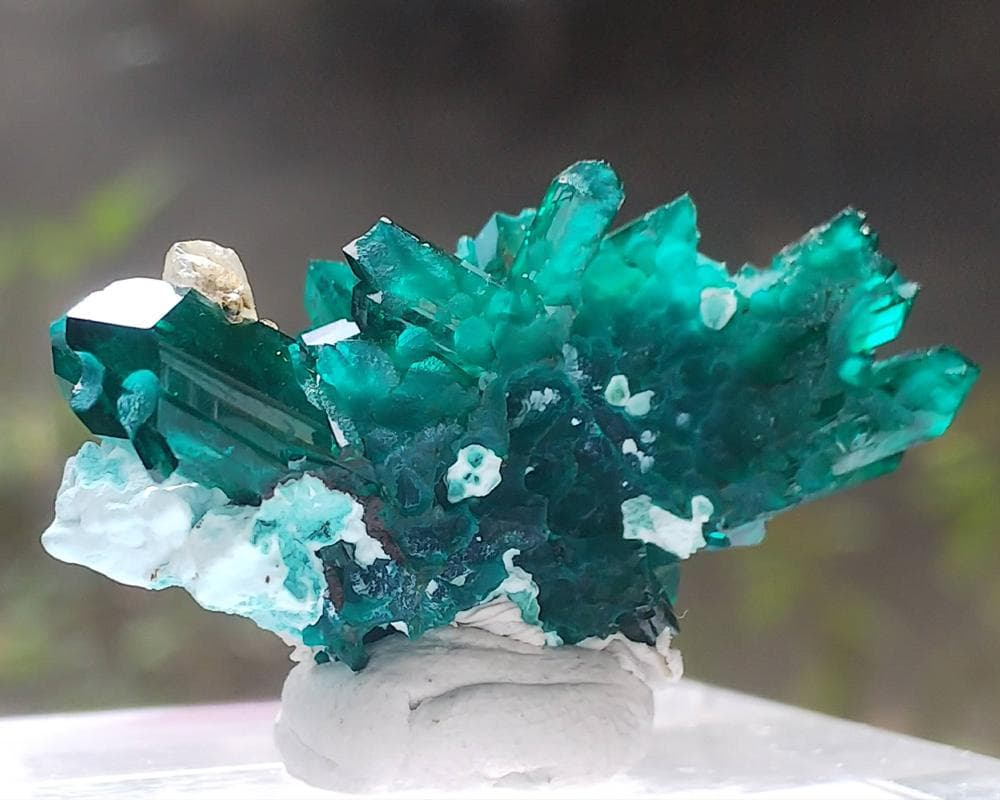 482 ダイオプテーズ 翠銅鉱 クラスター コンゴ産