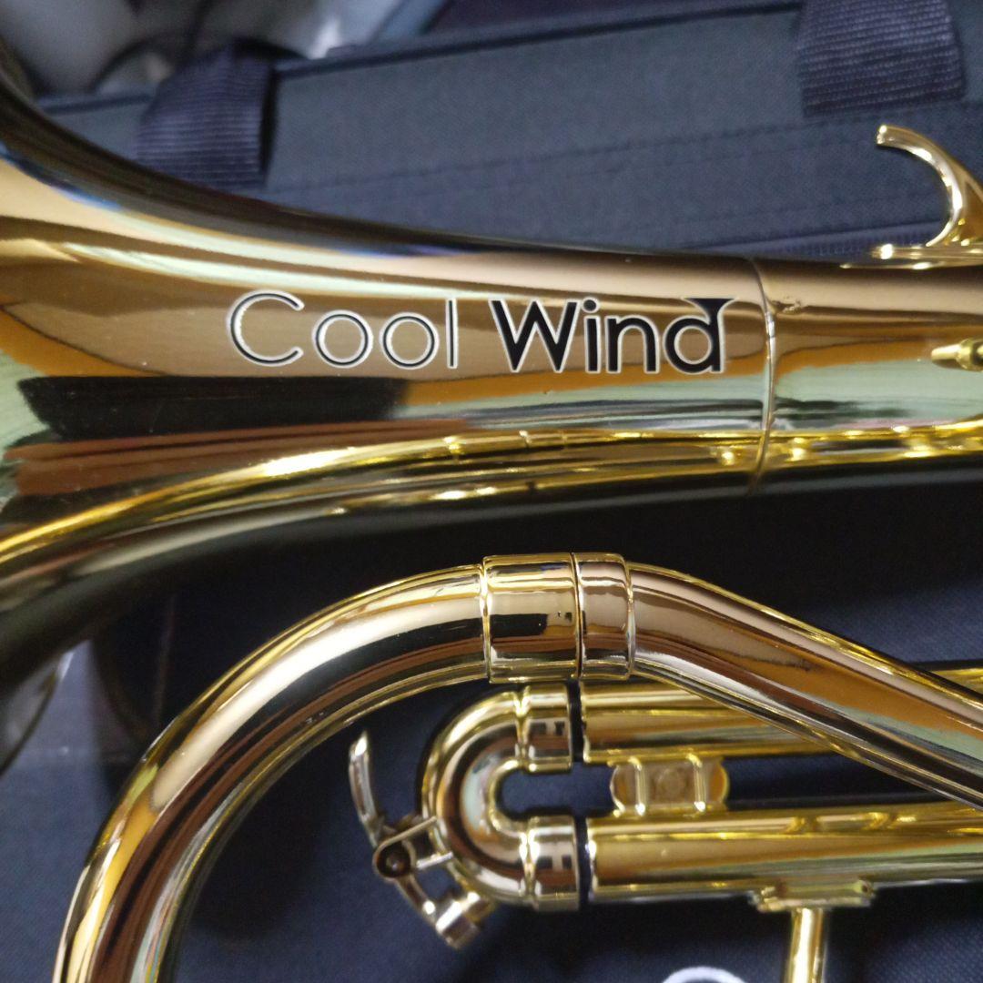 Cool Wind プラスチック フリューゲルホルン 本体 ボトムキャップ無し