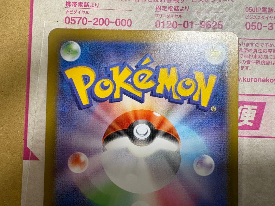 ブラッキー マスターボール