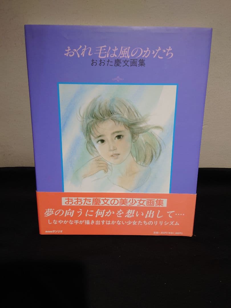 【おおた慶文 画集】7点　※初版3点