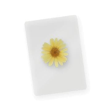 OMORI コレクターズエディション for Nintendo Switch