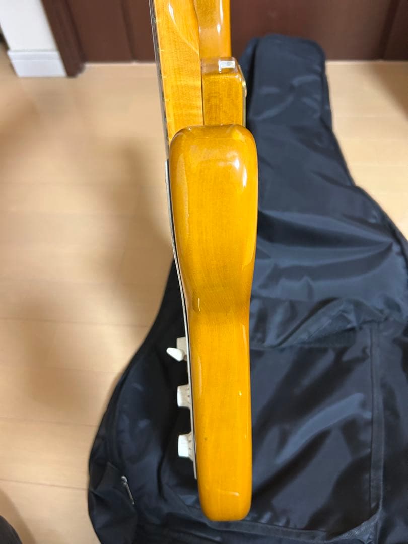 最終価格❗️SX エレキギター ストラトキャスタータイプ ヴィンテージシリーズ