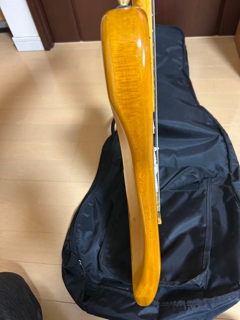 最終価格❗️SX エレキギター ストラトキャスタータイプ ヴィンテージシリーズ