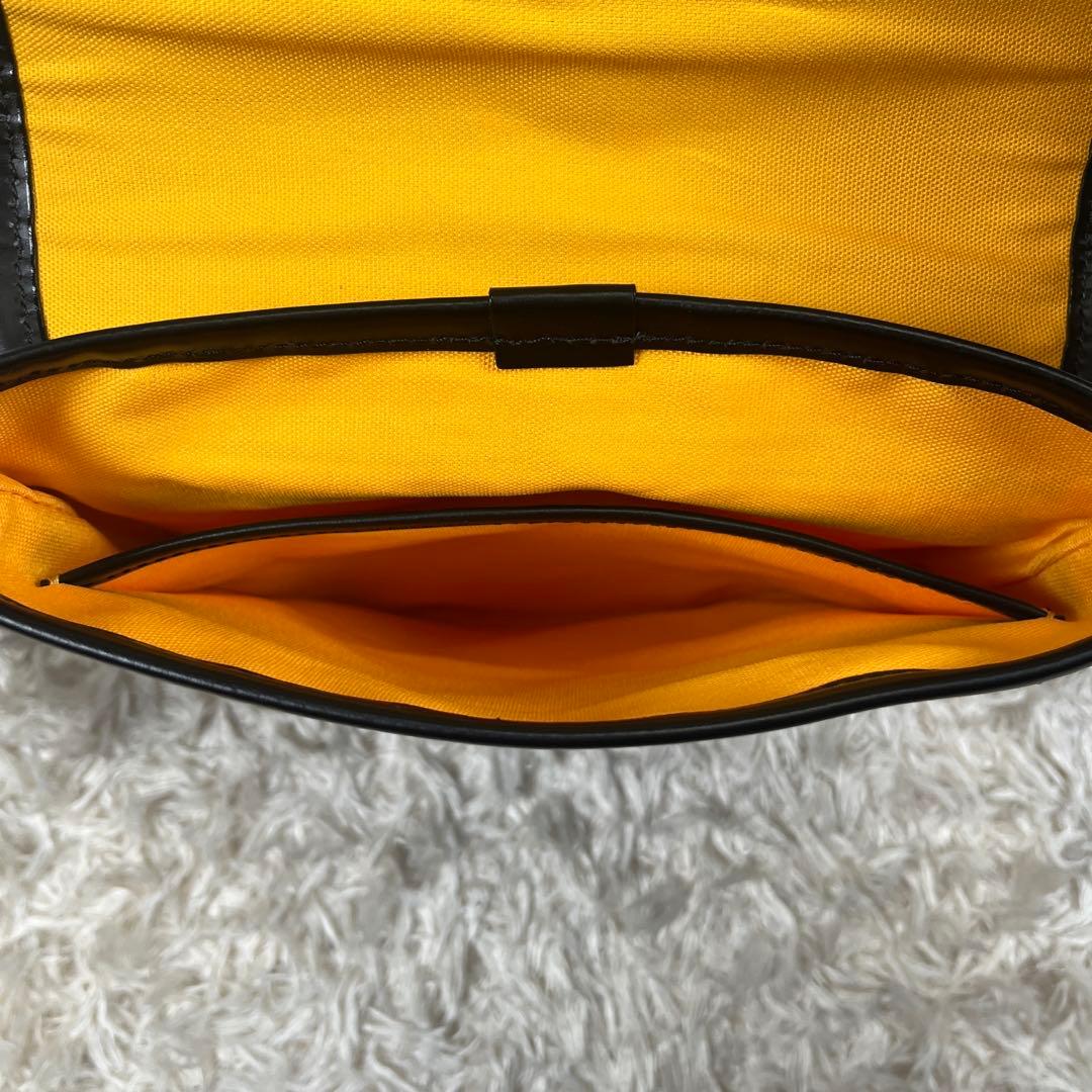 未使用級 Resurrection パロット PVC ショルダーバッグ