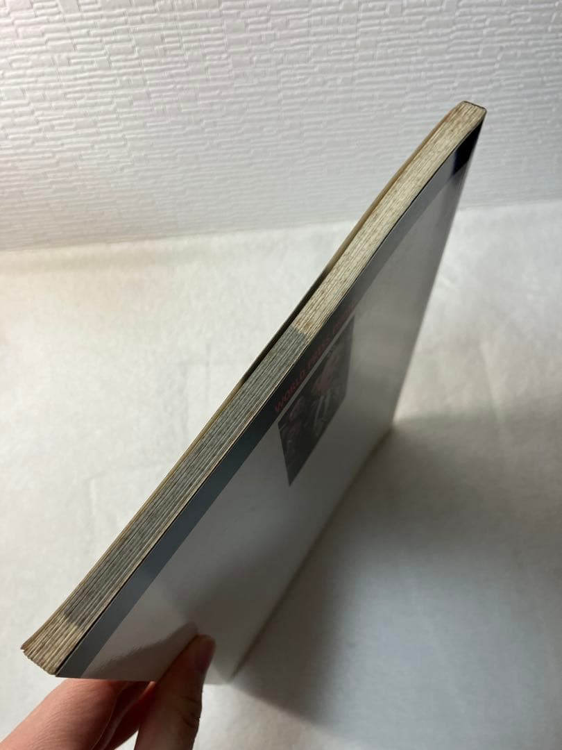 アート・デザイン・音楽 WORLD PRESS PHOTO 1993