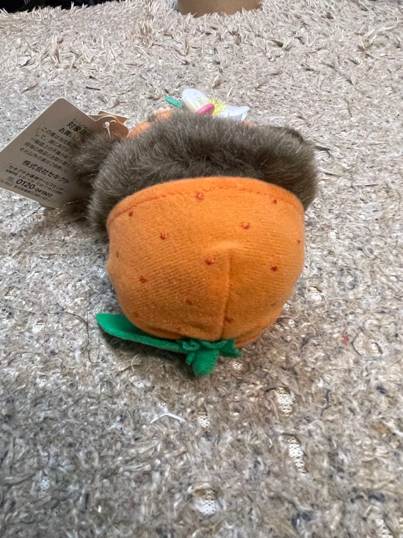 モンチッチ レア フルーツデザイン4体セット