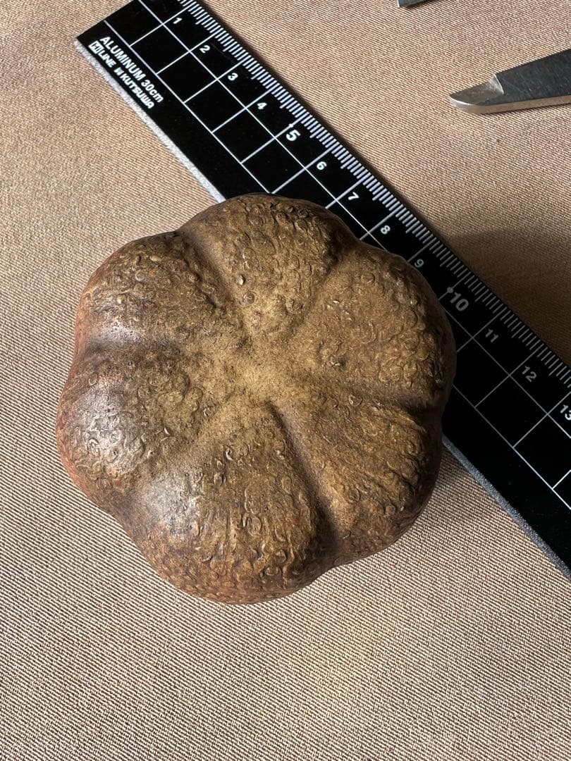 鼻烟壶 鼻煙壺 紫砂