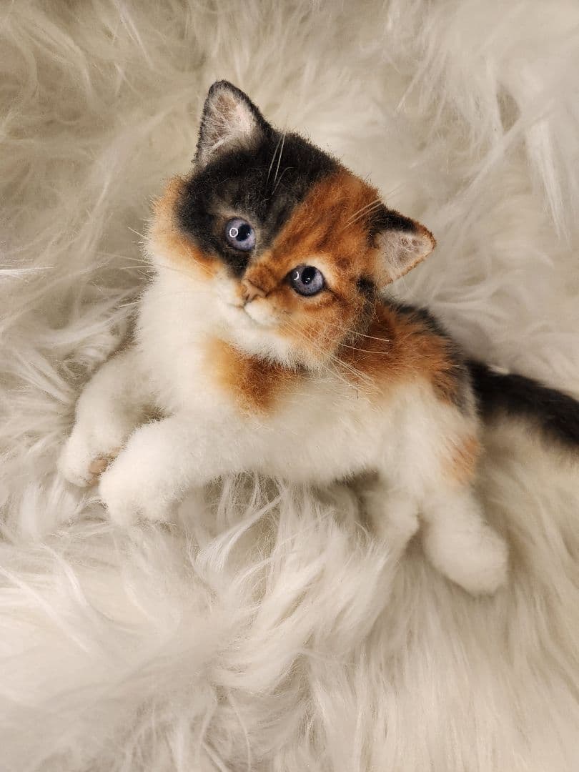 ひ*す様 海外作家 猫 三毛猫 ぬいぐるみ アートドール リアル 羊毛フェルト