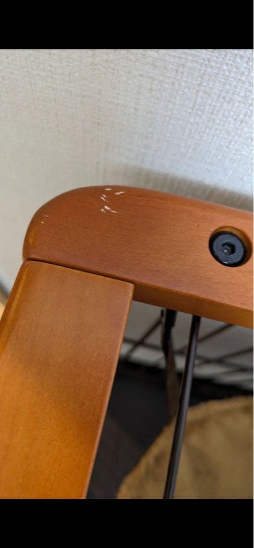 ボンビアルコンウッドワンサークルキャットミニ