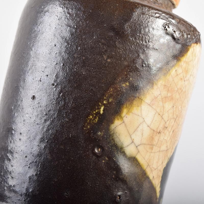 茶道具　尾形乾山作　竹文　茶入　袱紗付　玄々斎極め箱　M　R7707