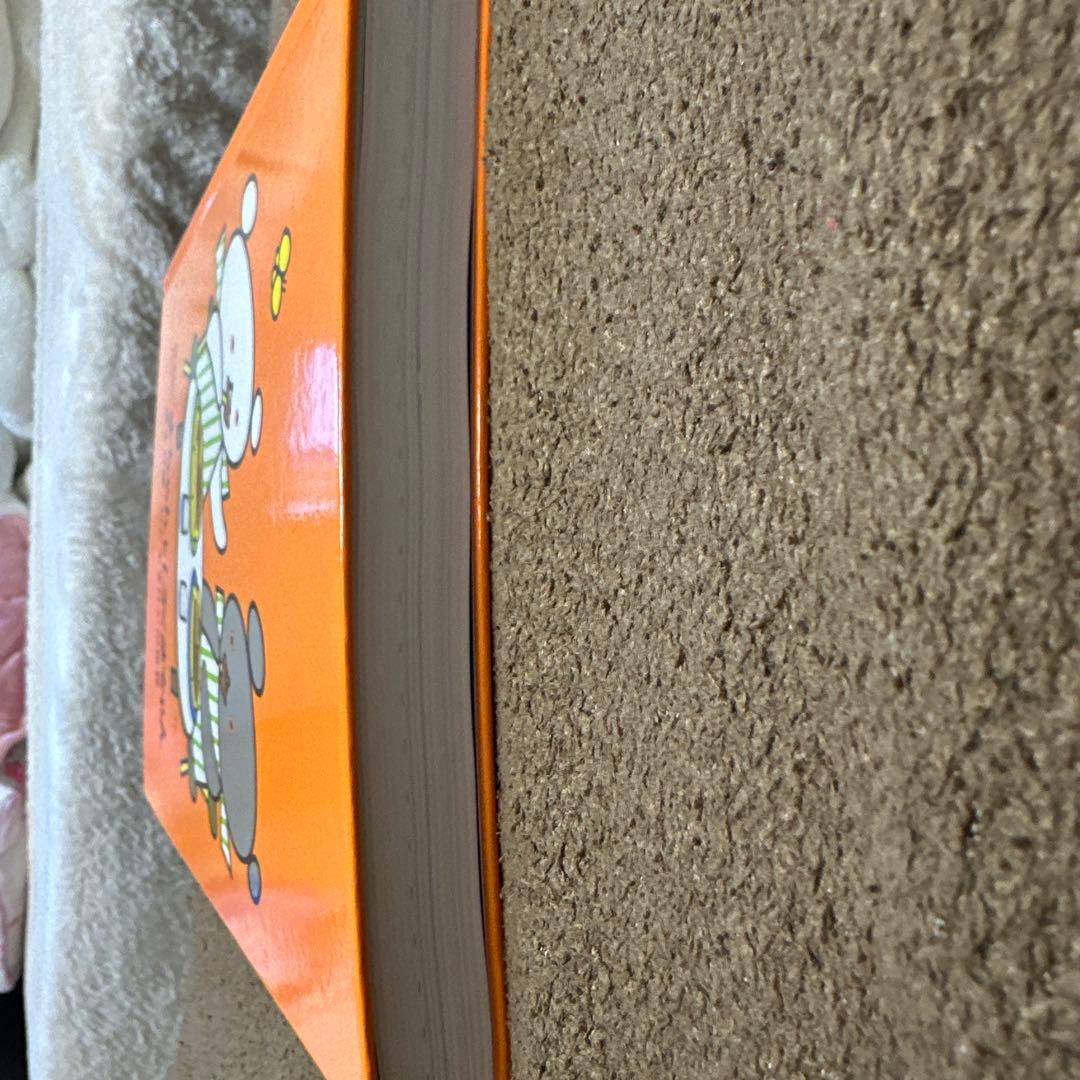 絵本作家　わかやまけんの世界　図録　こぐまちゃんとしろくまちゃん