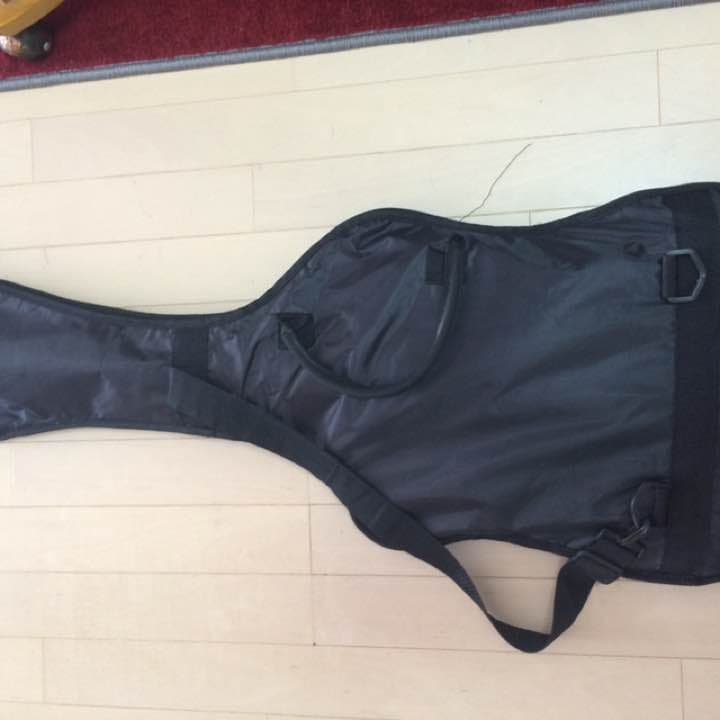 ギター本体と持ち運び便利なカバー付き