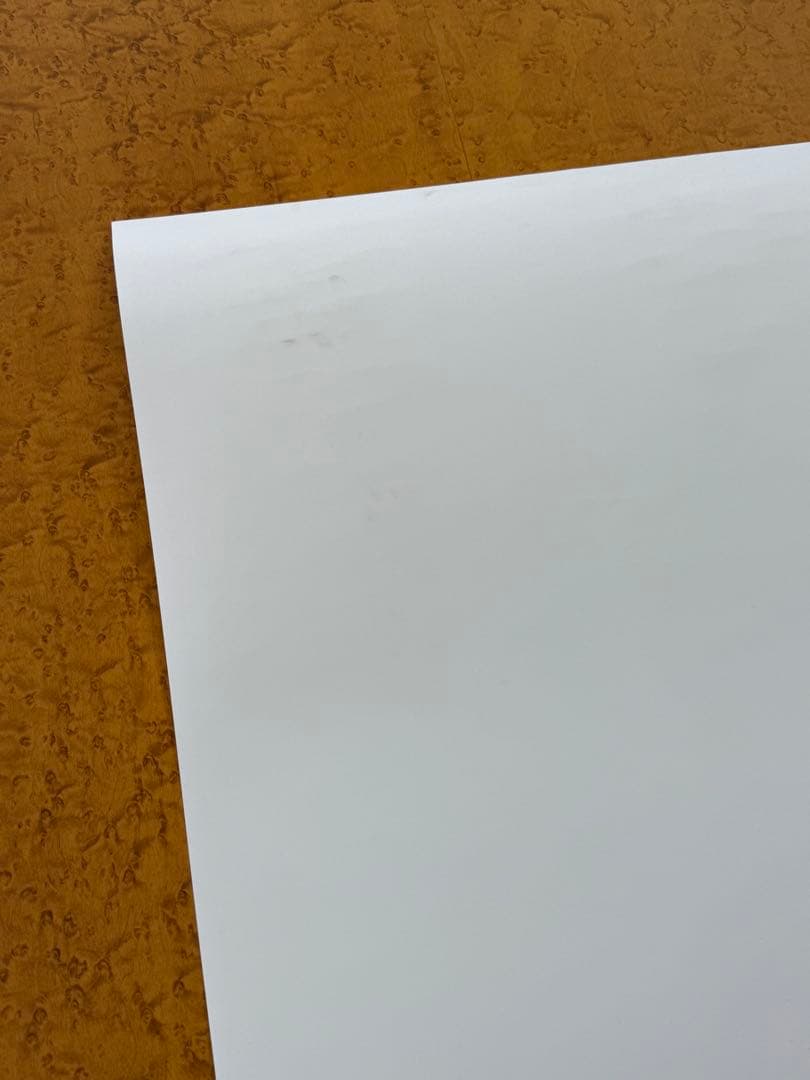 【新品】激レア　奈良美智　FireAid ポスター①