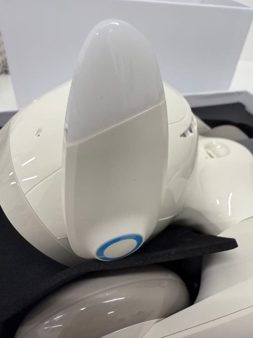 ペットロボット Loona