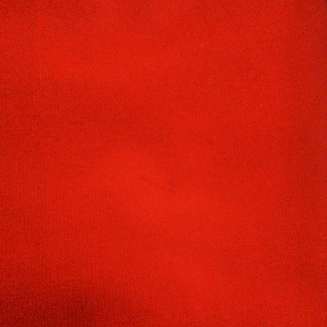 アディダス メンズO  赤 刺繍ロゴ ジャージパンツ トレパン 西ドイツ♡E18