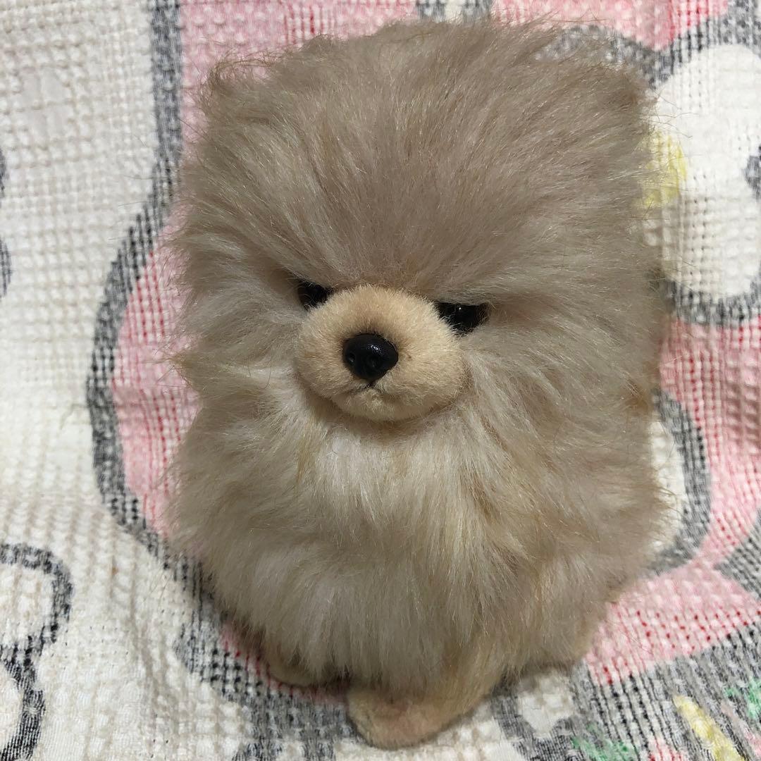 レトロ　ぬいぐるみの三英　ポメラニアン　犬　ぬいぐるみ　中古品