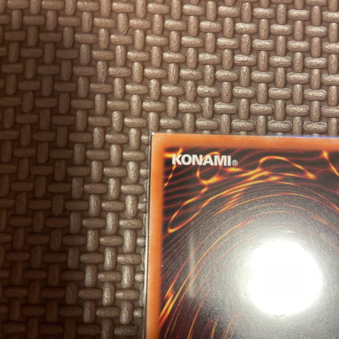 【完美品級】ブラックフェザー・ドラゴン プリシク