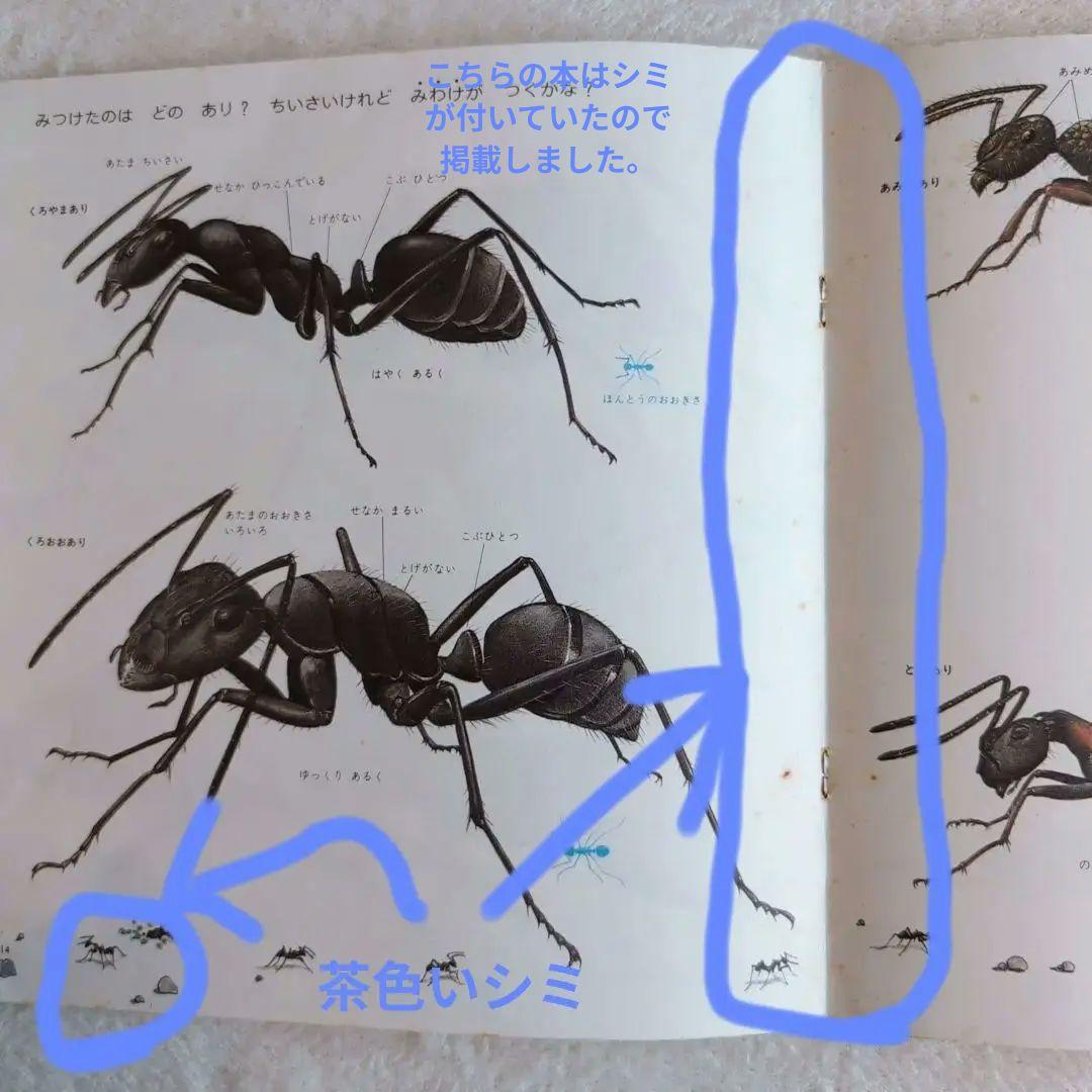 こどものとも 絵本セット まとめて83冊③