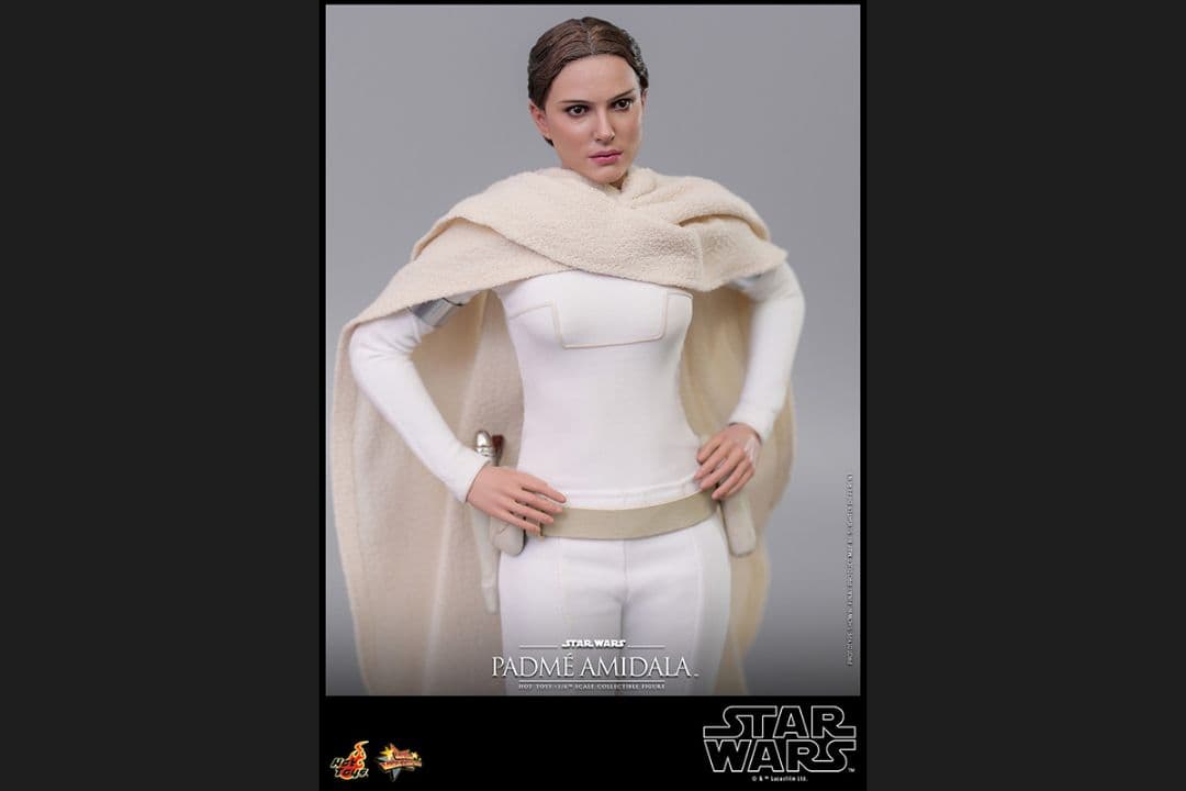 新品未開封 ホットトイズ パドメ