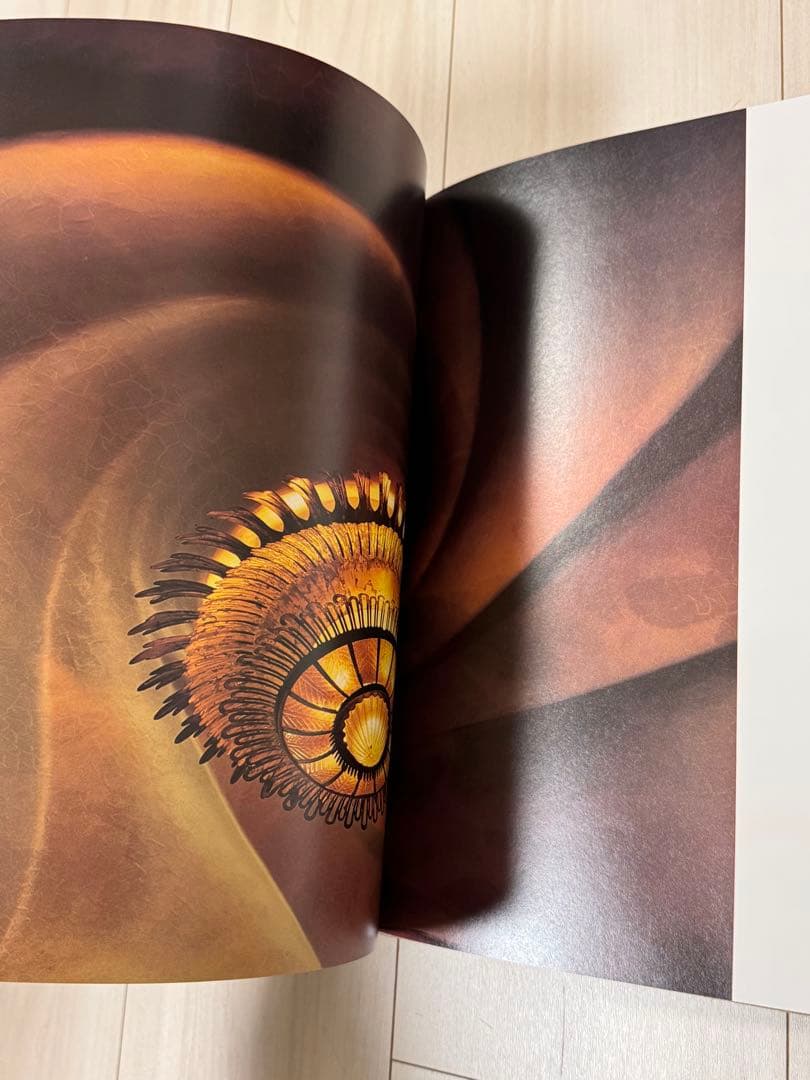 【謹呈サイン署名】ガウディの宇宙　細江英公　集英社　　ジョアン・ミロ