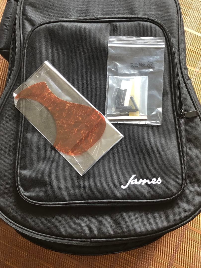 James ジェームス J450Aピックアップ