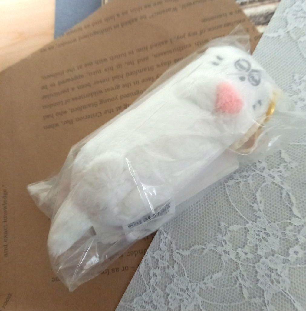 Eye Love You チェジョンヒョプ グッズまとめ売り アクスタ 他