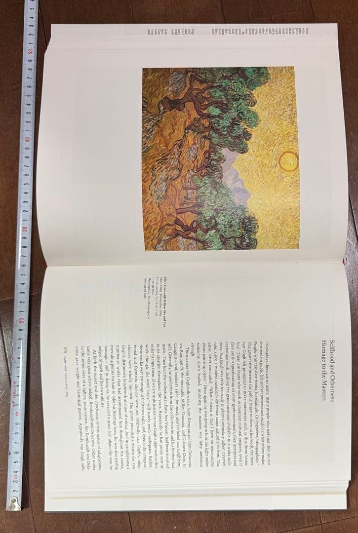 Van Gogh: The Complete Paintings 2巻セット