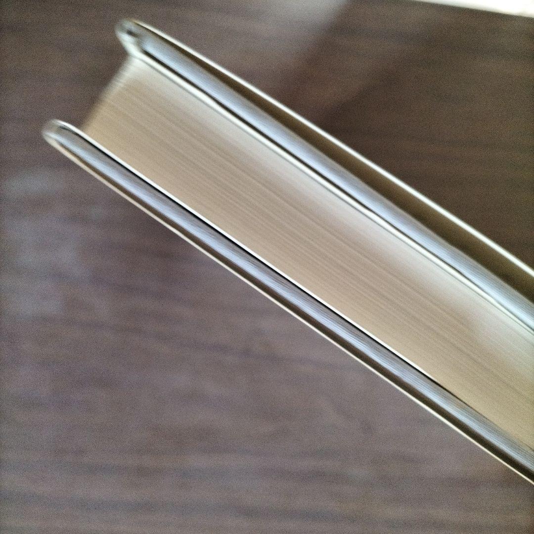 【美品】1983年の初版　エゴン・シーレ画集　27×29×3cm 大型判