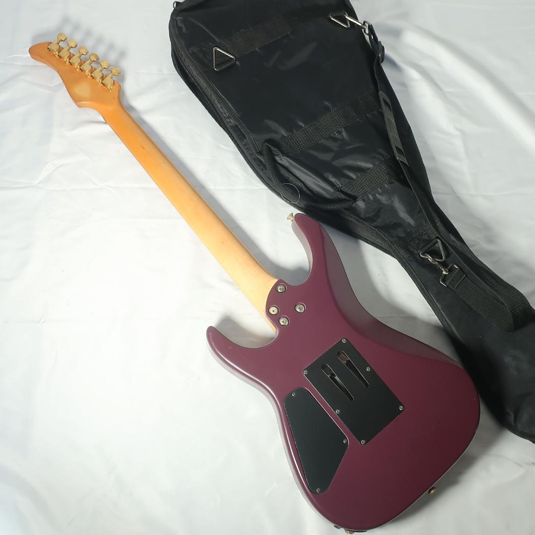 FERNANDES エレキギター ケース付 GOTOHペグ FRTブリッジ装備