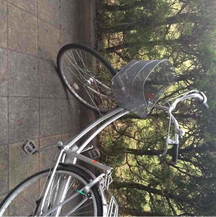 自転車サドル（低反発使用）自転車本体付き