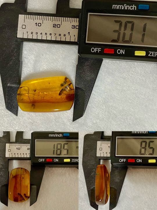 アンバー 琥珀  昆虫 コレクション 天然石 虫入り ゴキブリ 価値上がる 宝石