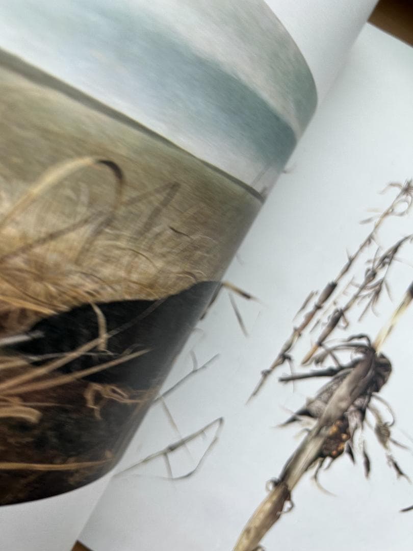 Andrew Wyeth 作品集 : 1968 アンドリュー・ワイエス