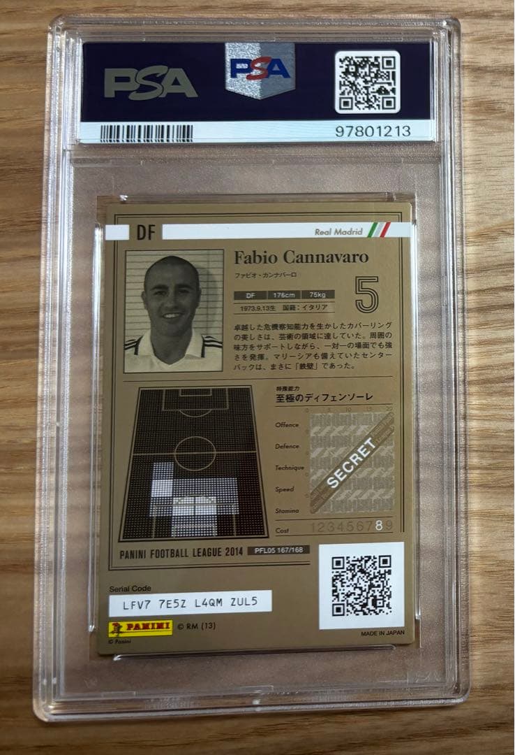 PSA10 カンナバーロ CANNAVARO PFL パニーニフットボールリーグ