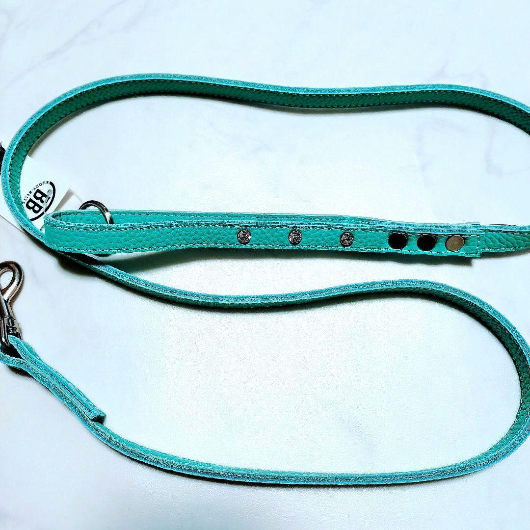 バディーベルト　2点セット ハーネス・リード BUDDYBELT