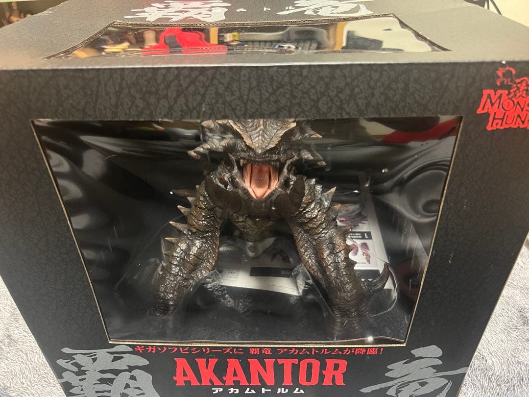 CCP アカムトルム