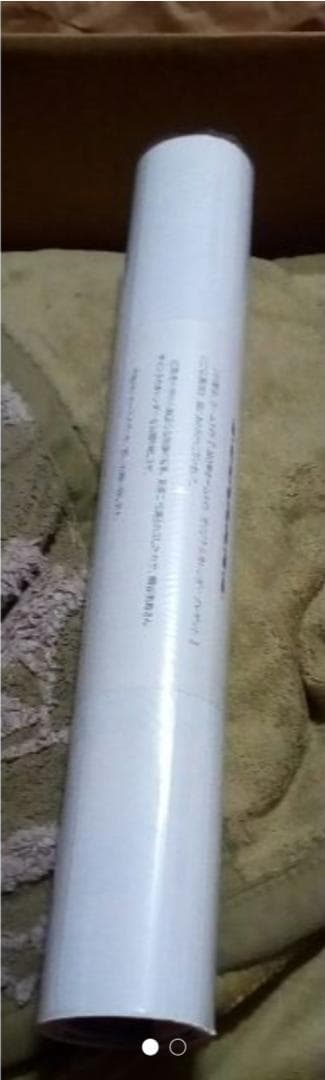 桐谷美玲　サイン入り2019ホームメイトカレンダー本物保証新品未開封レア