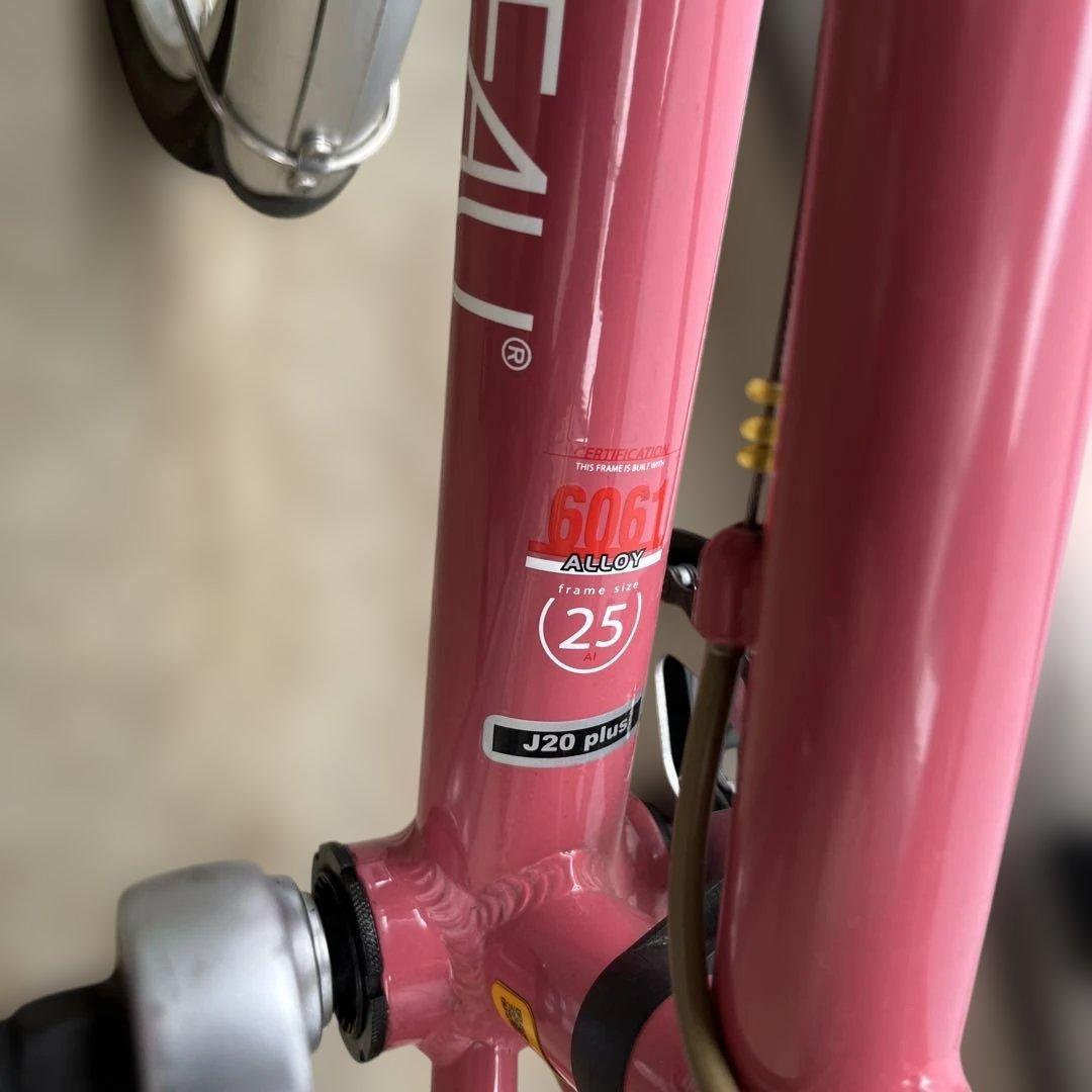 LOUIS GARNEAU 子供用自転車　前カゴ付き　6段階ギア　20インチ