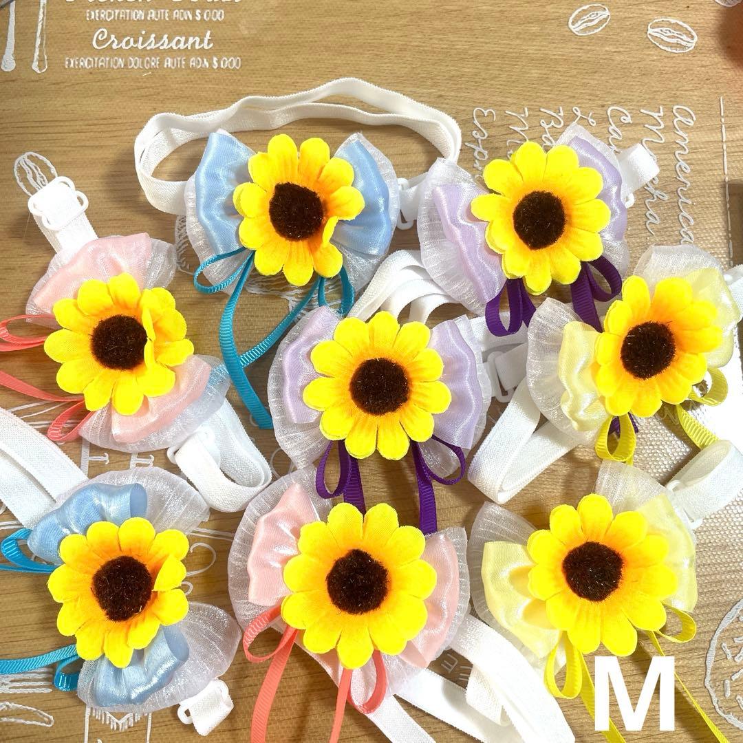 姫香ページ トリミングチョーカー 夏