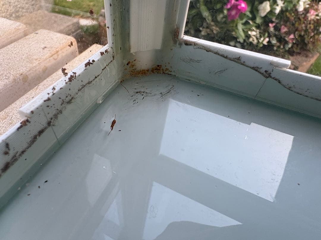 爬虫類ケージ パンテオン ホワイト WH6030