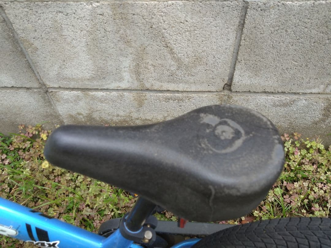 STRIDER 14インチ キッズバイク 青