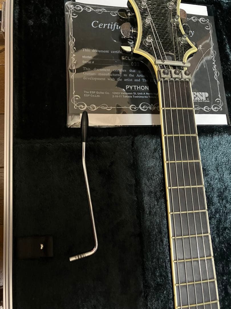 daizo ESP SUGIZO eclips ブラックパイソンs-1