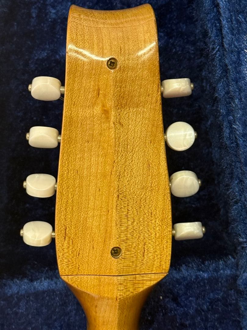 マンドリンSUZUKI M-100 ケースとセット